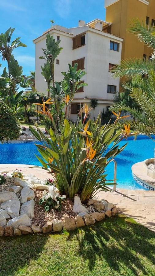 Punta Prima Nice Apartment With Sea Views Τορεβιέχα Εξωτερικό φωτογραφία