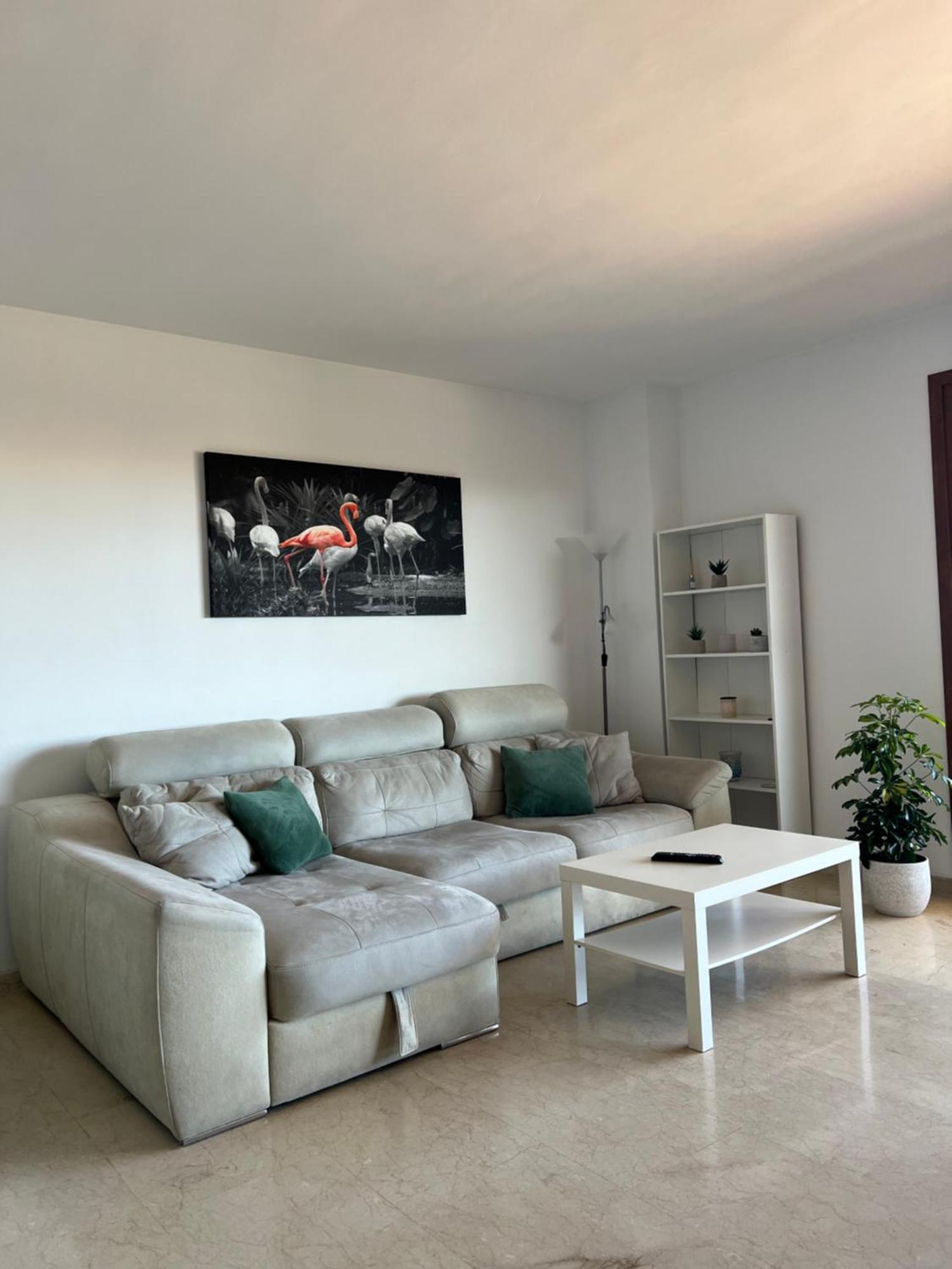 Punta Prima Nice Apartment With Sea Views Τορεβιέχα Εξωτερικό φωτογραφία